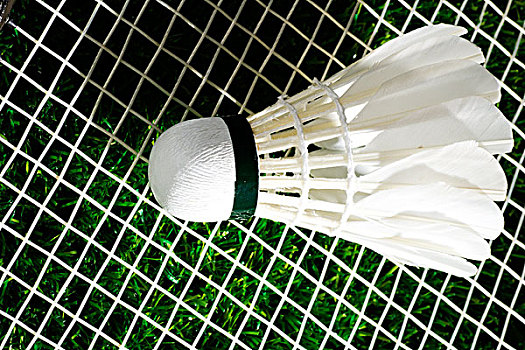 欧冠冠军 欧冠冠军