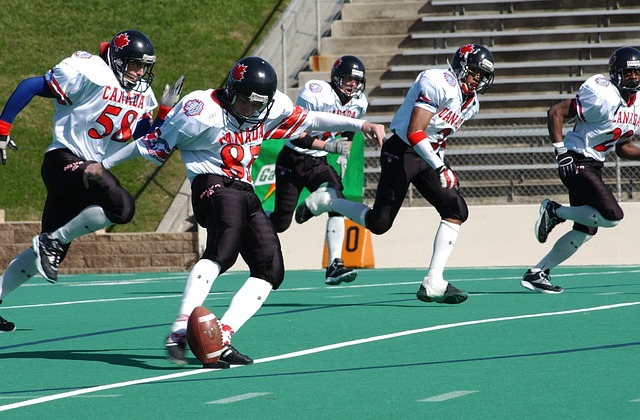 的坚韧与智 的坚韧与智