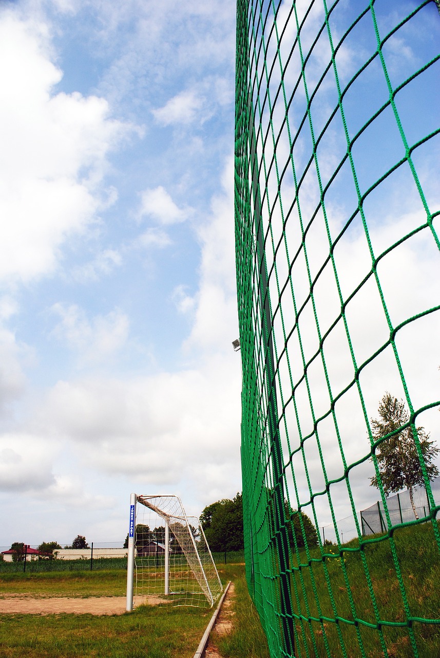 到了球迷的 到了球迷的